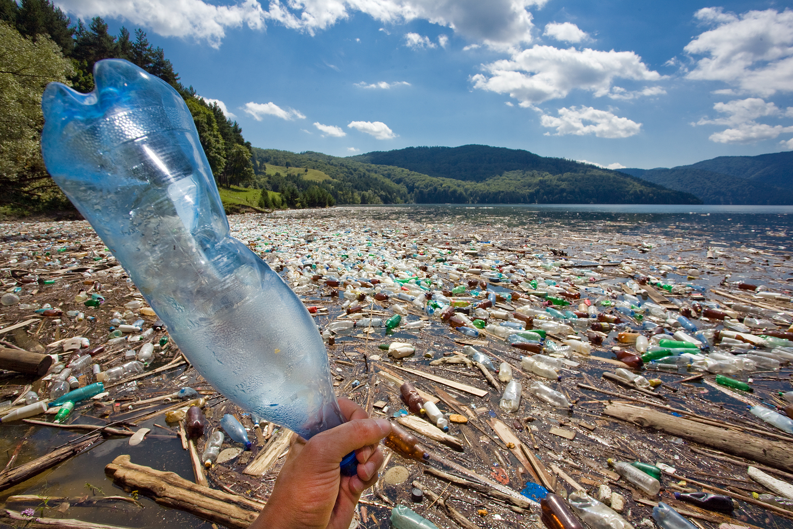 Пластиковые бутылки в природе