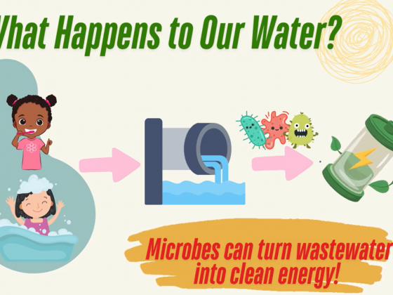 A colorful educational graphic shows three cartoon scenes of children brushing their teeth and taking a bath. Arrows lead from these activities to a pipe releasing wastewater, then to illustrated microbes, and finally to a green battery symbol representing clean energy. The text reads “What Happens to Our Water?” and “Microbes can turn wastewater into clean energy!”