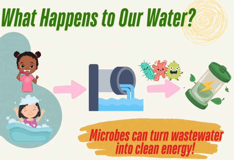 A colorful educational graphic shows three cartoon scenes of children brushing their teeth and taking a bath. Arrows lead from these activities to a pipe releasing wastewater, then to illustrated microbes, and finally to a green battery symbol representing clean energy. The text reads “What Happens to Our Water?” and “Microbes can turn wastewater into clean energy!”