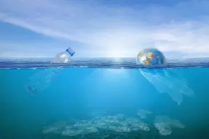 Learn more about the impact of plastic this World Environment Day