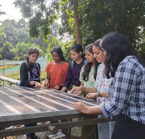 Grupo de chicas estudiantes planificando en la naturaleza