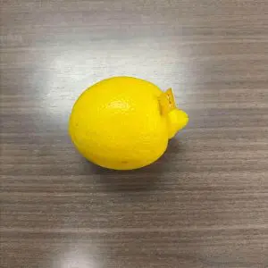 Insert the copper strip into one side of the lemon. 