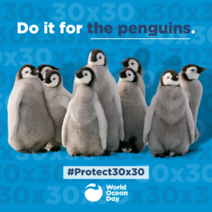 Do it for the penguins. World Ocean Day. 