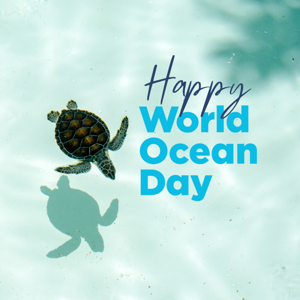 World Ocean Day