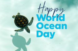 World Ocean Day