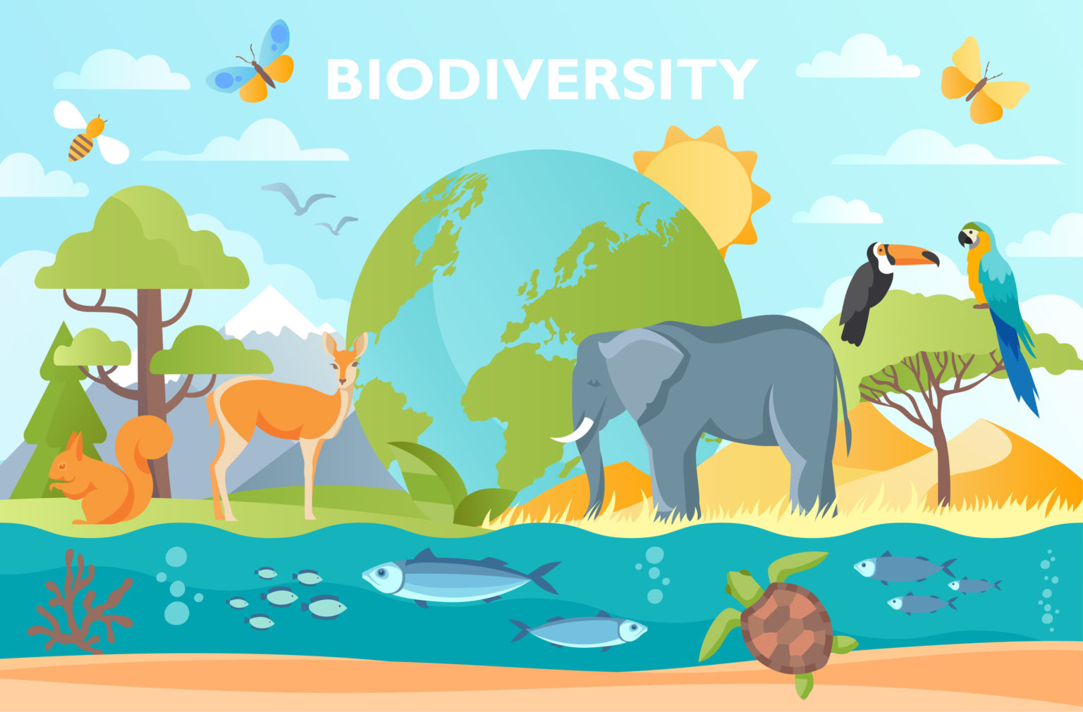 Biodiversity vector